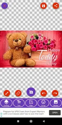 Happy Teddy DayGreeting, Phot android App screenshot 2